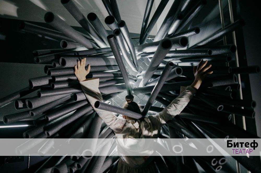 Da li sam ti ikada rekla